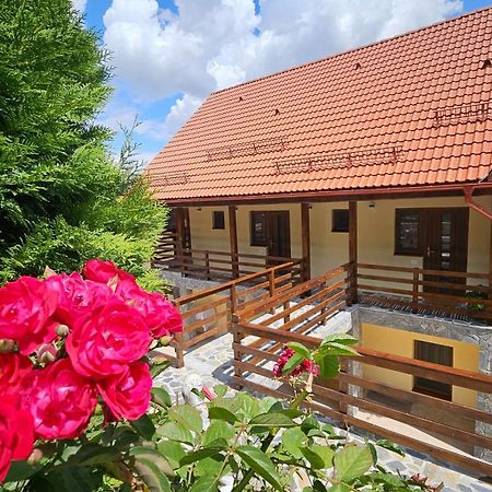 Matei Residence Braszów Zewnętrze zdjęcie