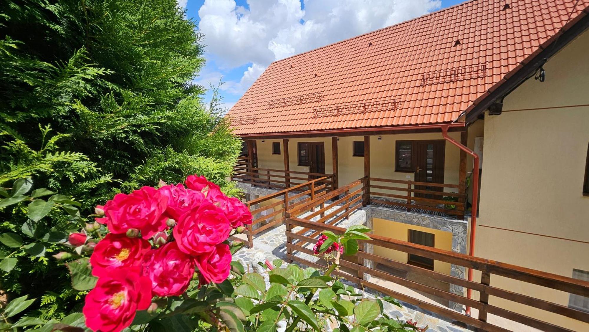 Matei Residence Braszów Zewnętrze zdjęcie