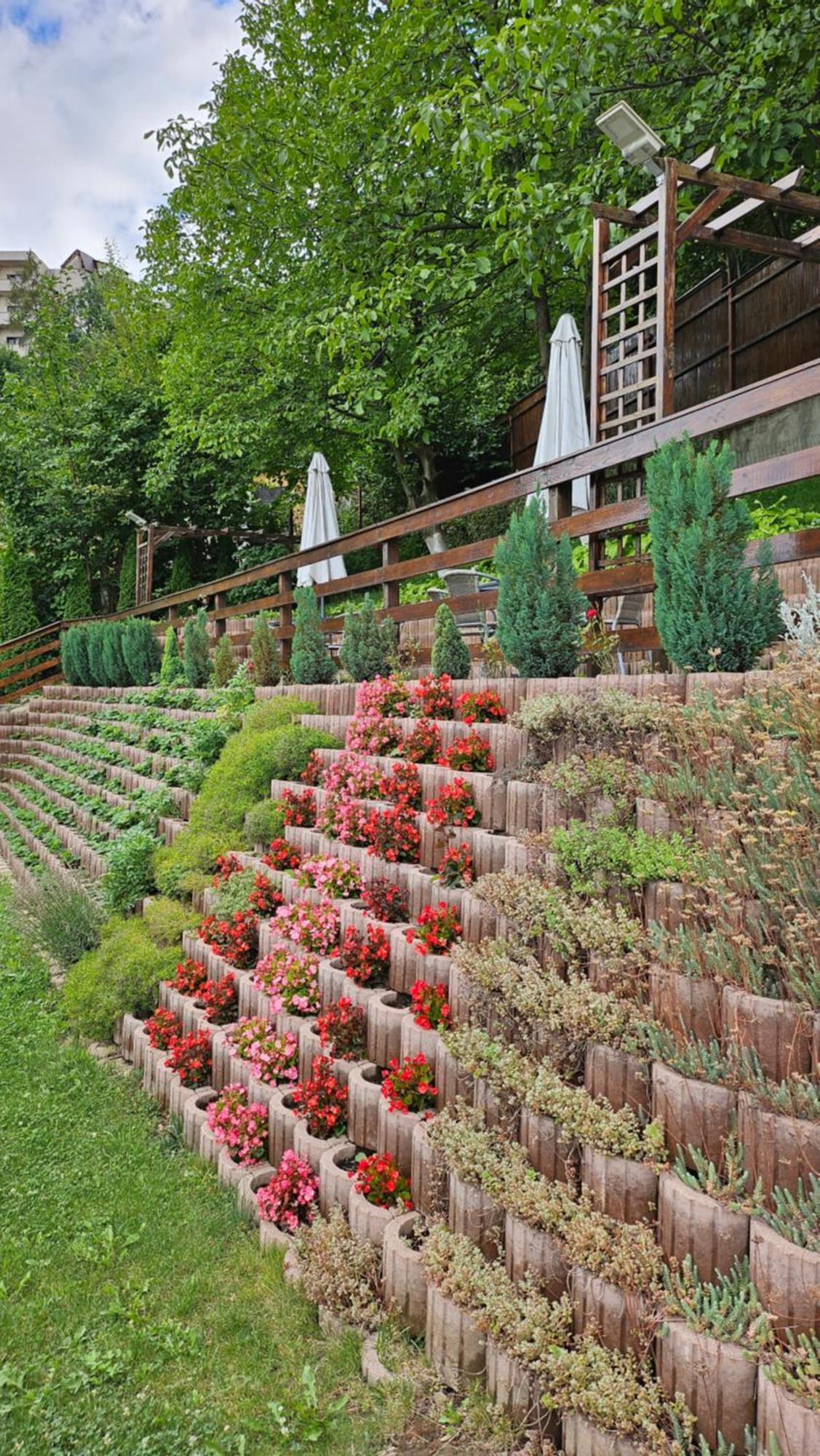 Matei Residence Braszów Zewnętrze zdjęcie