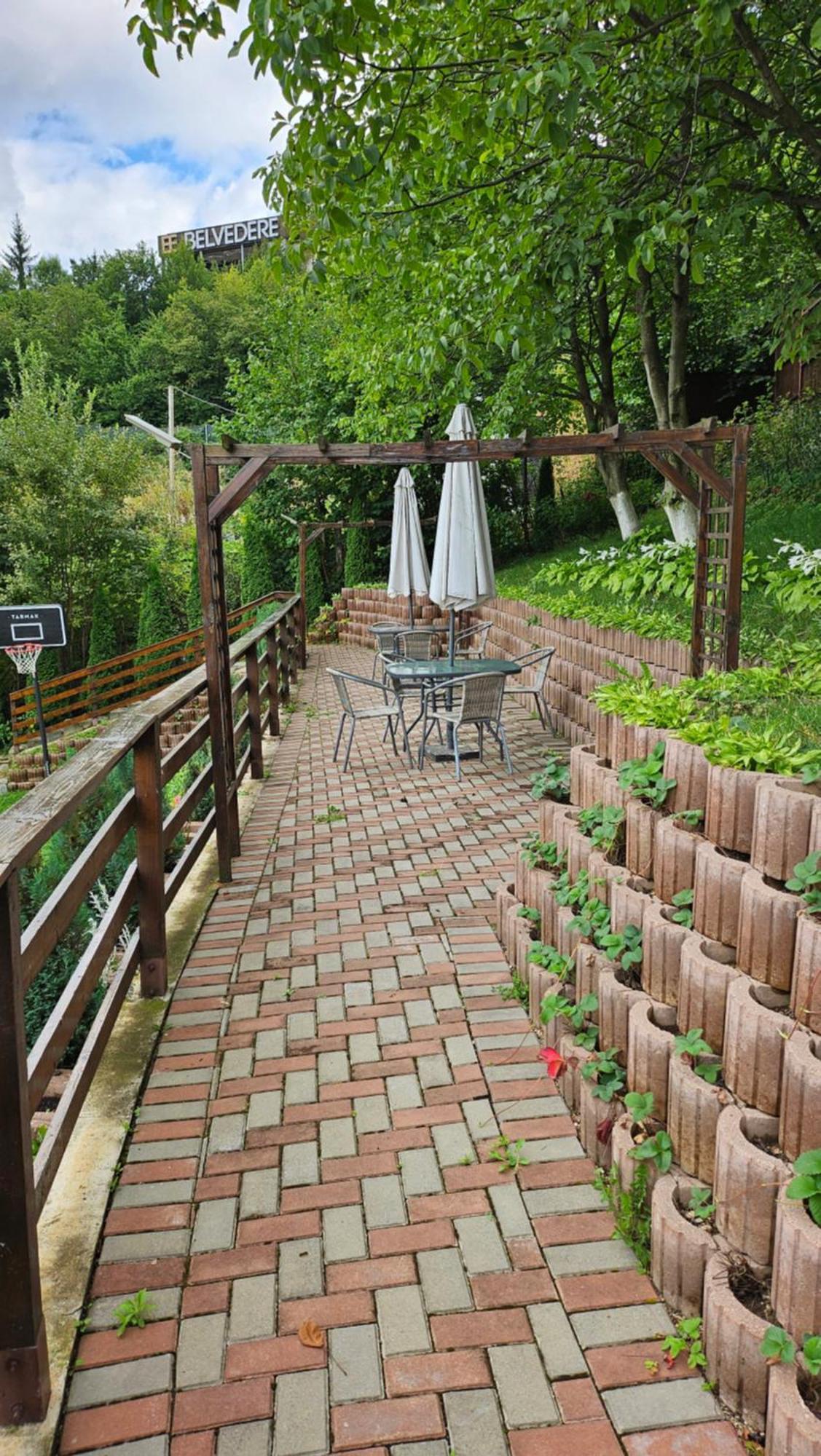 Matei Residence Braszów Zewnętrze zdjęcie